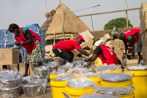 WASH and NFI distribution