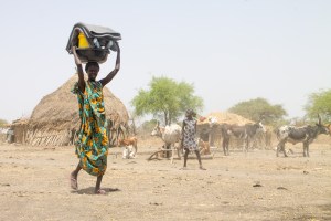 WASH and NFI distribution